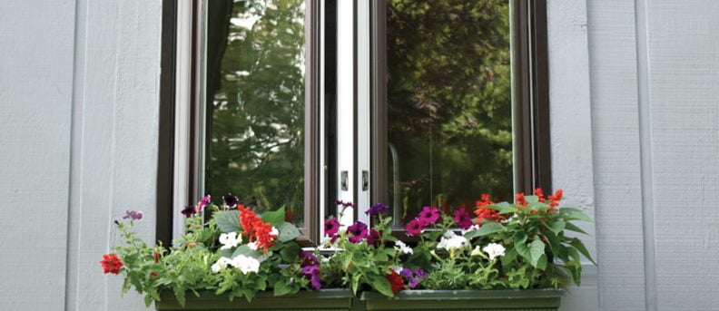 Open windows with flower pots