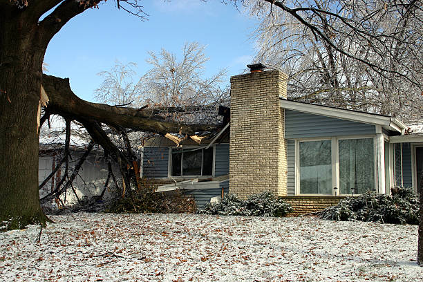 A large oak tree on a house after a terrible ice and snow storm, possible siding and roofing insurance claim