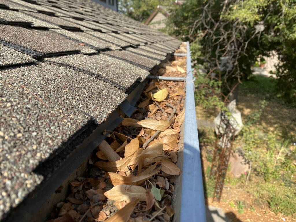 leafs fill a clogged gutter, could be better off with oversized downspouts and leafpro gutter system